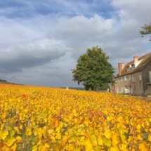 Gîte Beaune Comblanchien Nuits Saint Georges