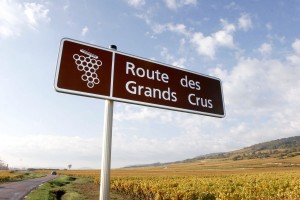 route des grands crus